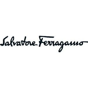 Salvatore Ferragamo Eyewear Image